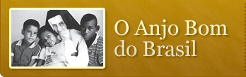 O Anjo Bom do Brasil